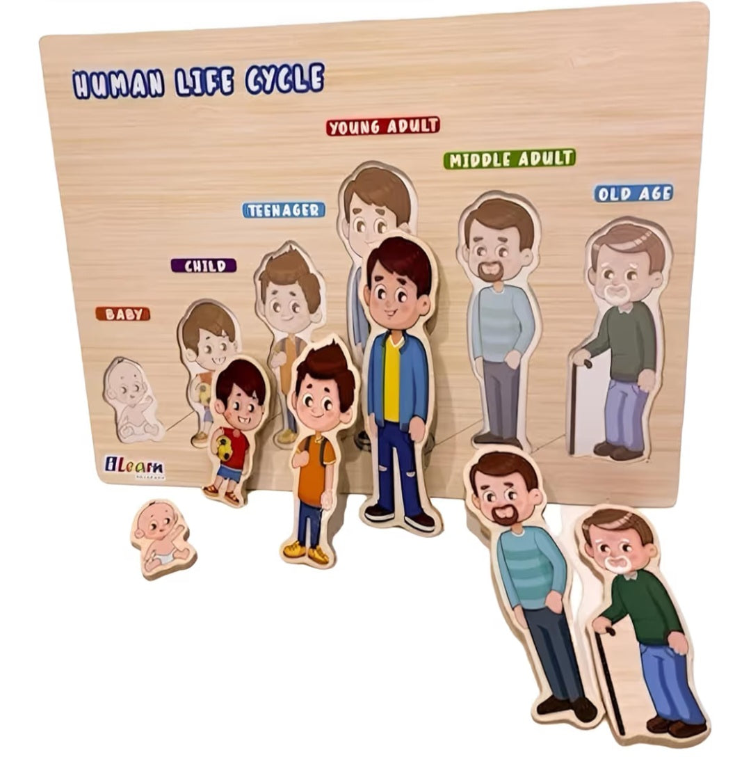 Montessori Shape Board